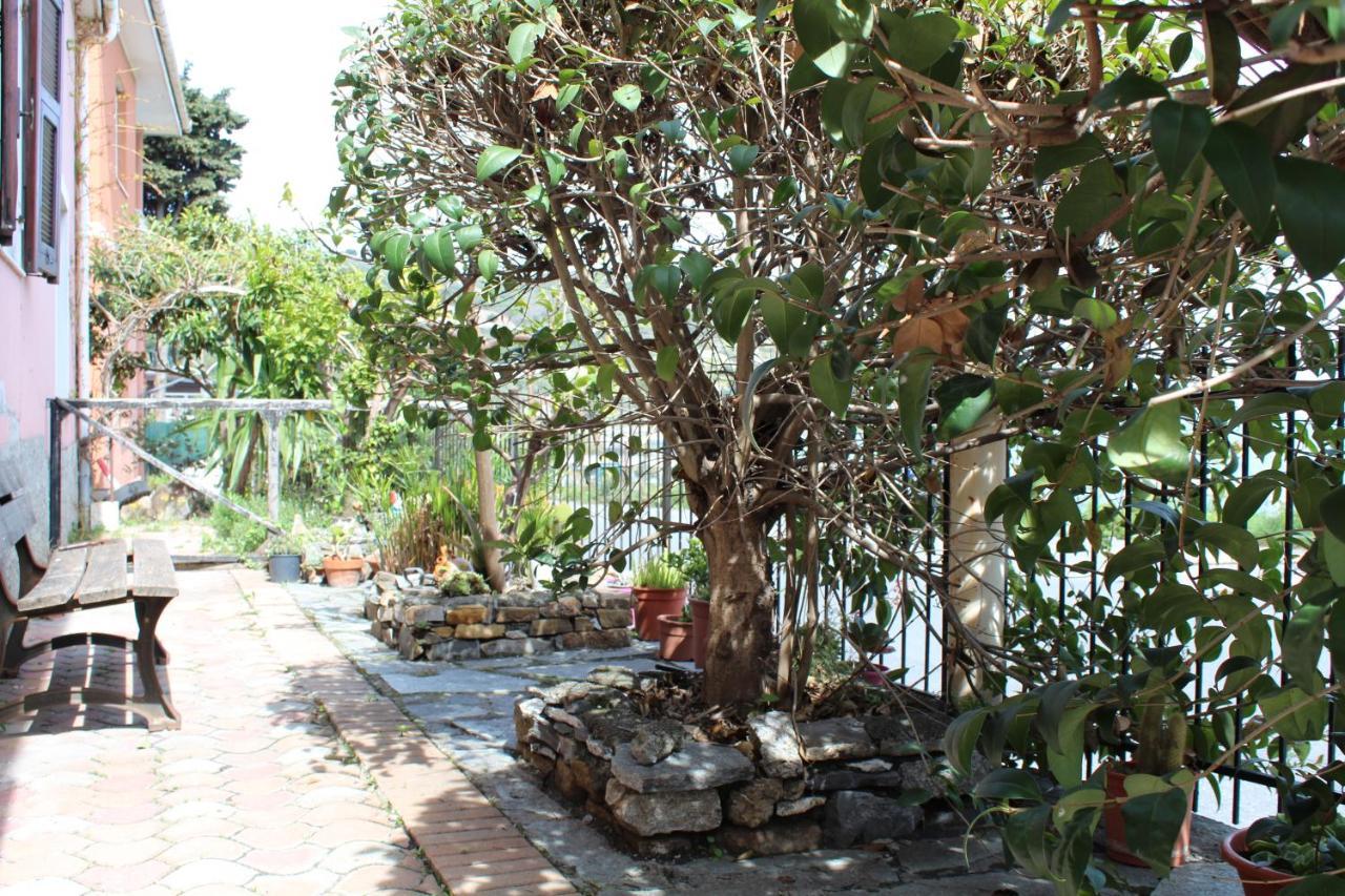 Villa Froggy House à San Lorenzo al Mare Extérieur photo